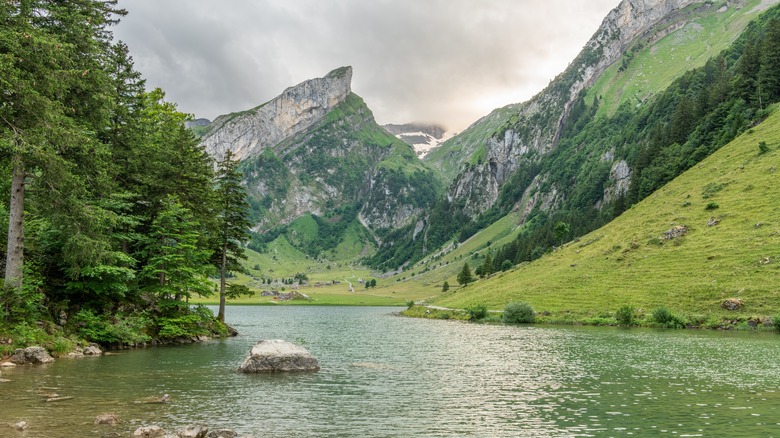 Lake with mountains and green pastures