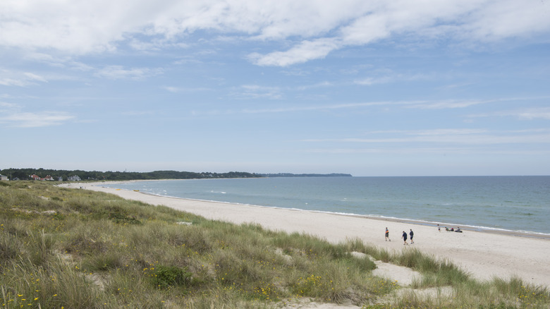 Grassy dunes, white sand, and sea