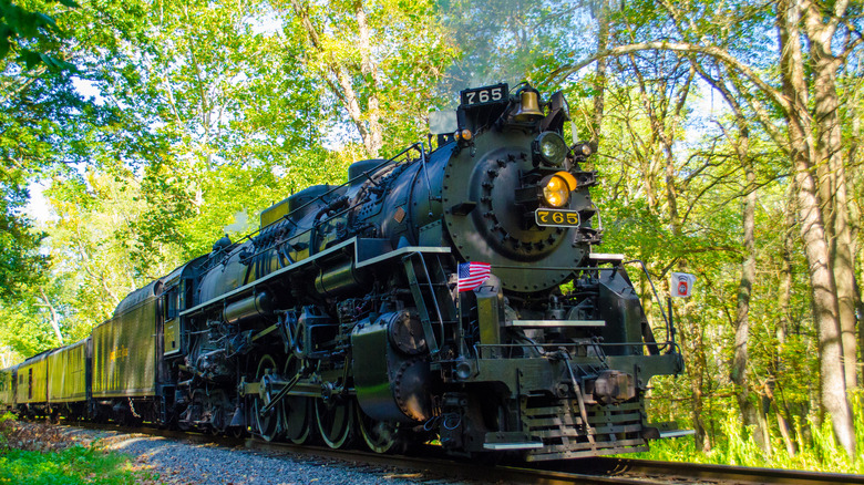 A train passing through the forest of Cuyahoga Valley National Park