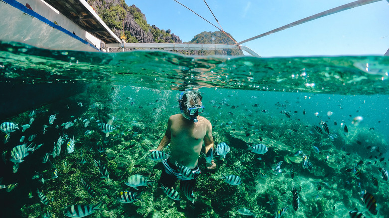 El Nido coral reef snorkeling