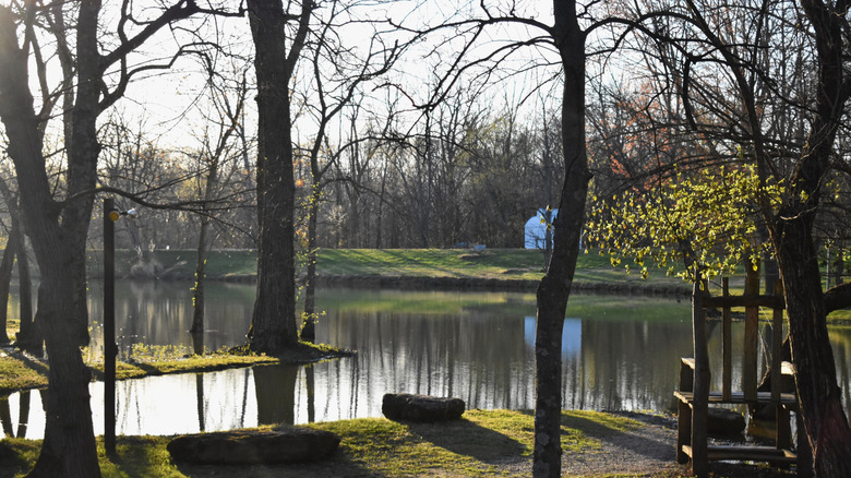 Morning at a pond in New Harmony Indiana