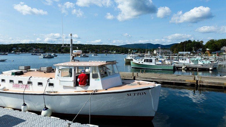 Boats docked at harbor