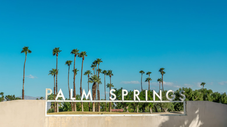 Palm Springs sign with palm trees