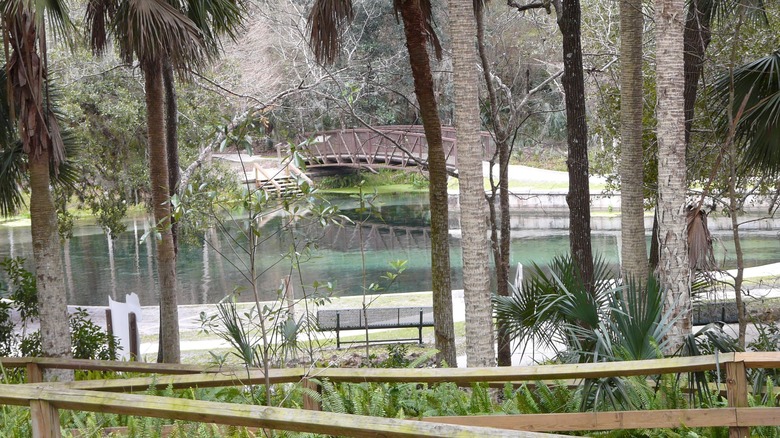 The Rock Springs with a bridge crossing over