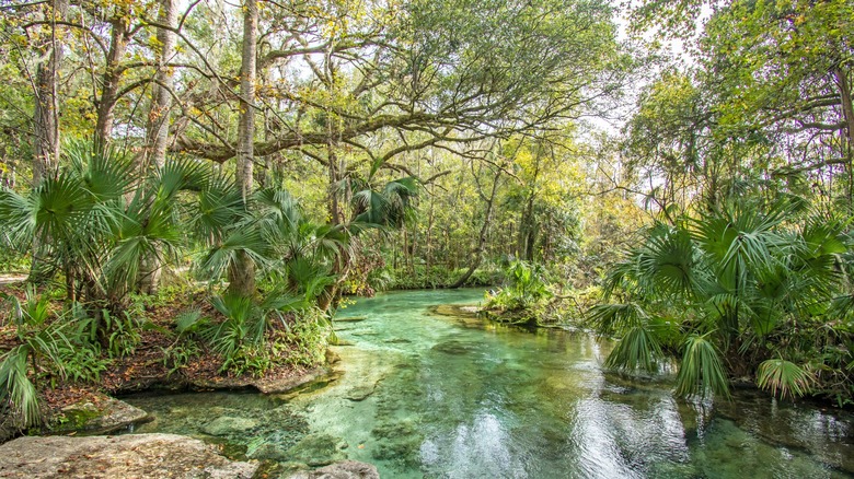 The lazy river that cuts through Kelly Park