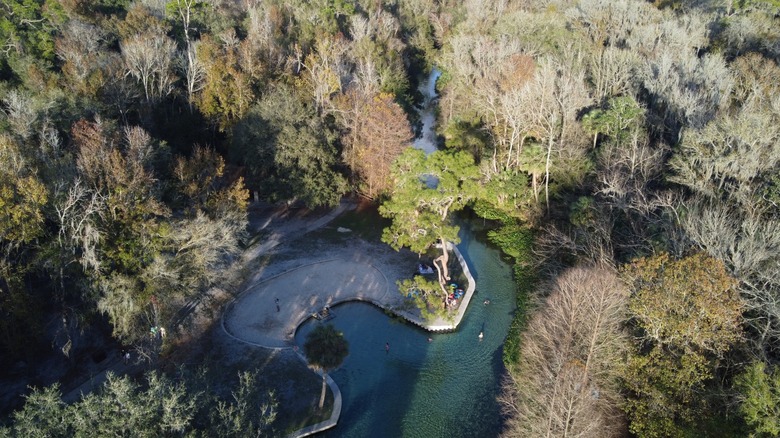 Aerial view of Kelly Park's spring