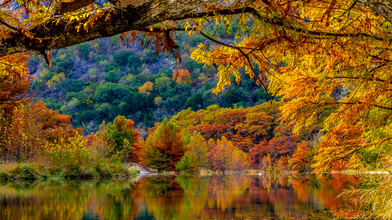 fall on the Frio River