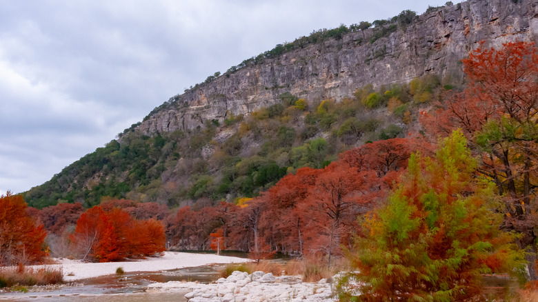 autumn foliage at Garner State Park