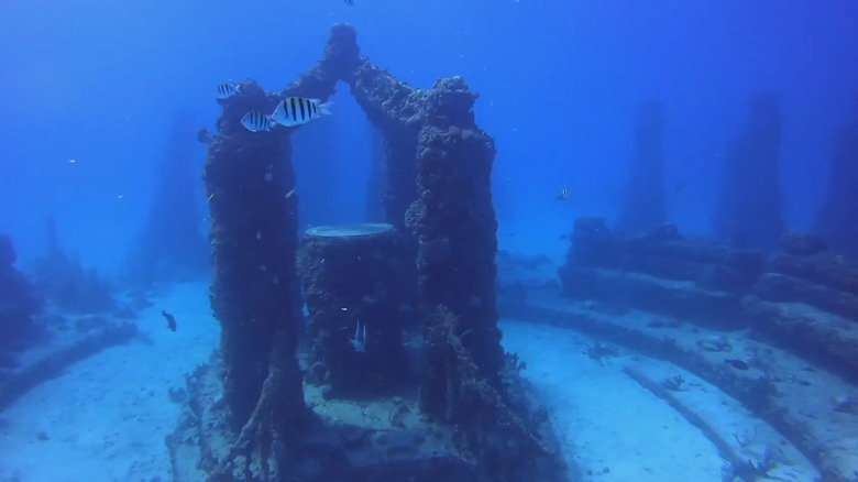 An underwater sculpture with fish swimming by