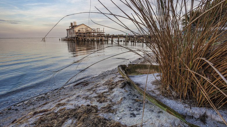 A view of the quaint beaches of Sebastian, Florida