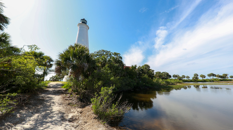 St. Marks Wildlife Refuge in Florida's Forgotten Coast