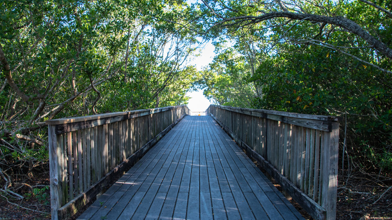 Walkway along Peace River and Harborwalk