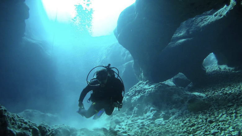 Scuba diving at Vortex Spring, Florida