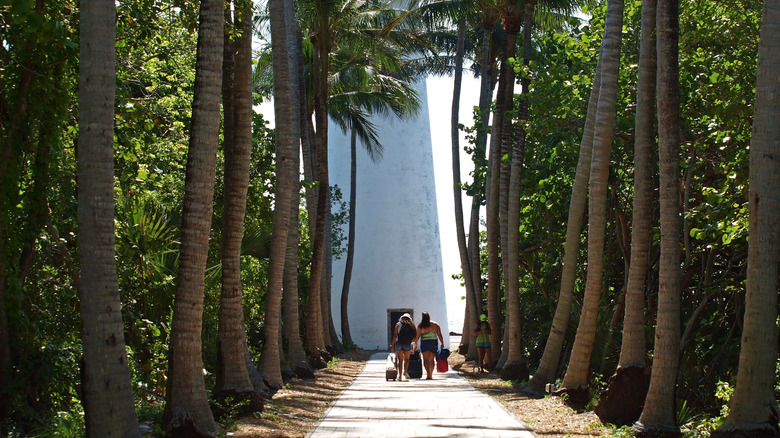 People walking up to Cape Florida Lighthouse between trees