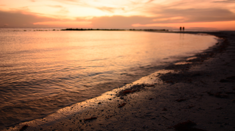 Honeymoon Island Beach at sunset