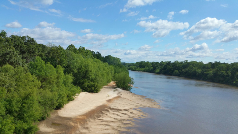 The sandhills give way to the Apalachicola River