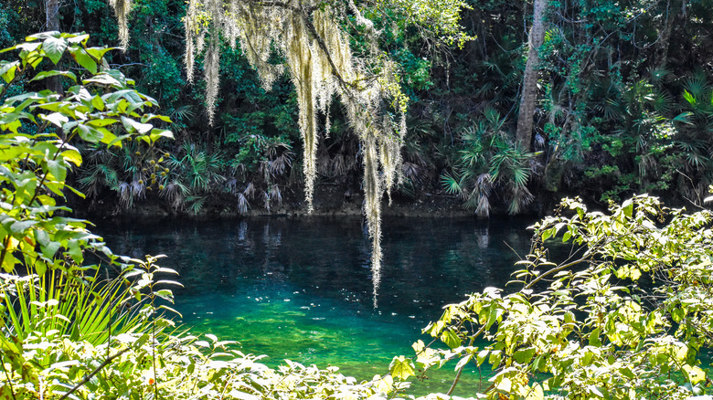 Blue Springs State Park, Florida