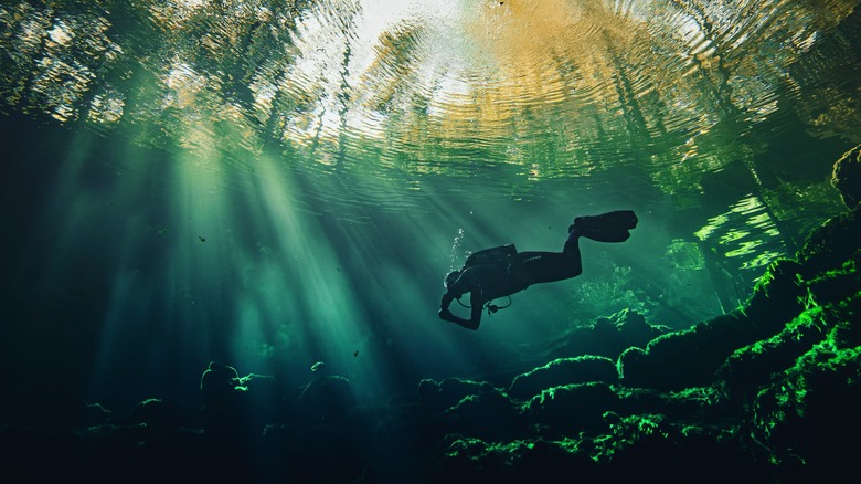 Scuba divers are fond of Florida's freshwater springs