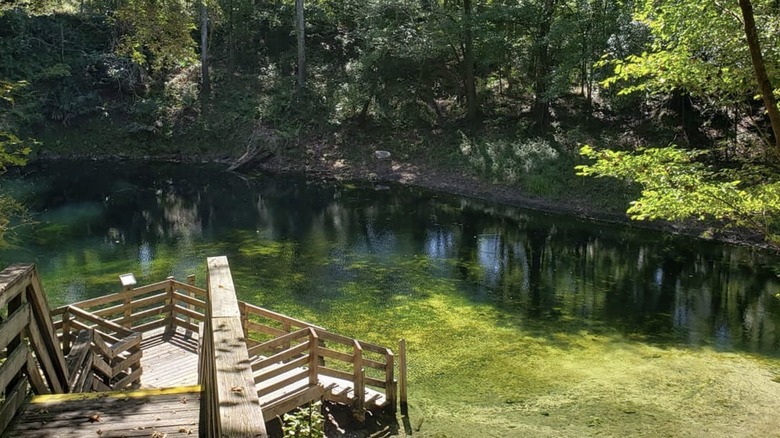 Falmouth Springs near Live Oak, Florida