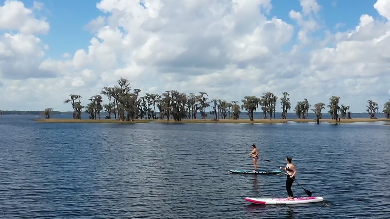 Stand-up paddleboarders on a lake Waldo, Florida