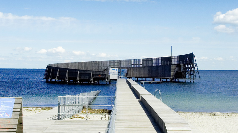 Copenhagen swim snail