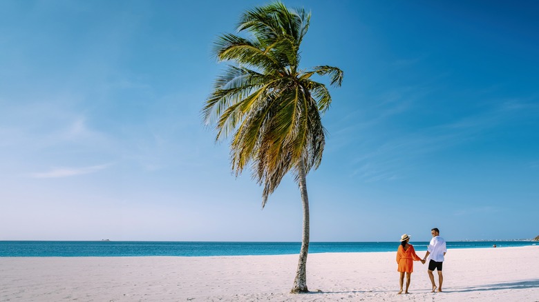 Aruba beach palm tree couple