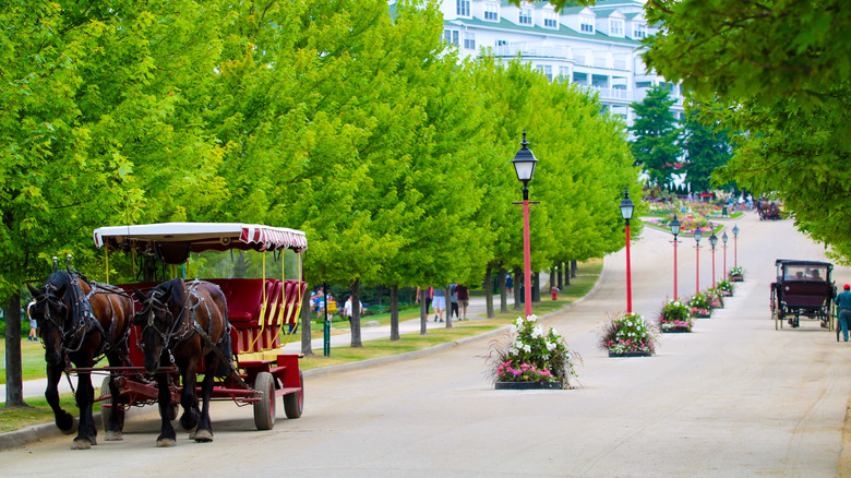 Horse drawn carriages on Mackinac Island