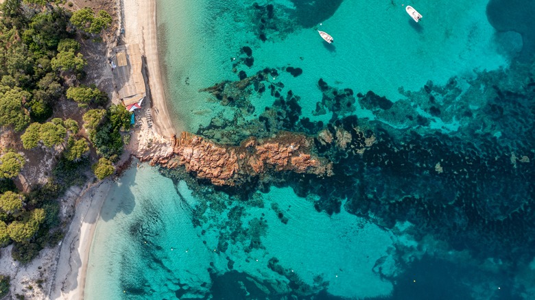 Palombaggia Beach from above