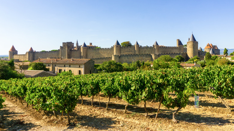 Rows of grape vines in front of a medieval castle.