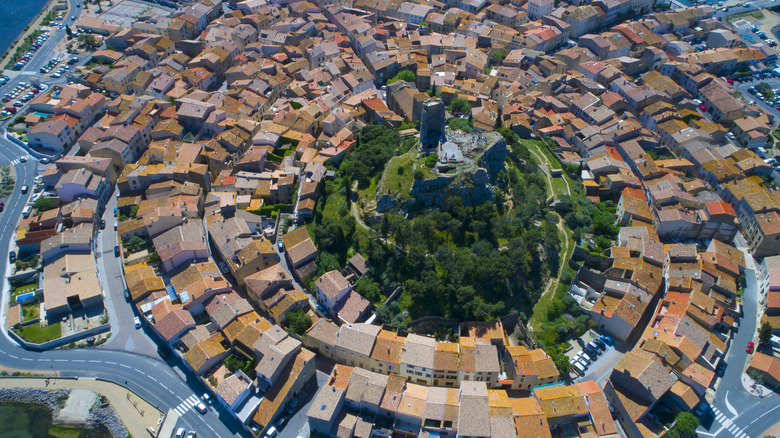 A castle on a hill surrounded by greenery and rows of red-roofed hosues