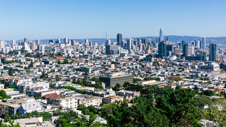 A view of San Francisco from the top of a hill