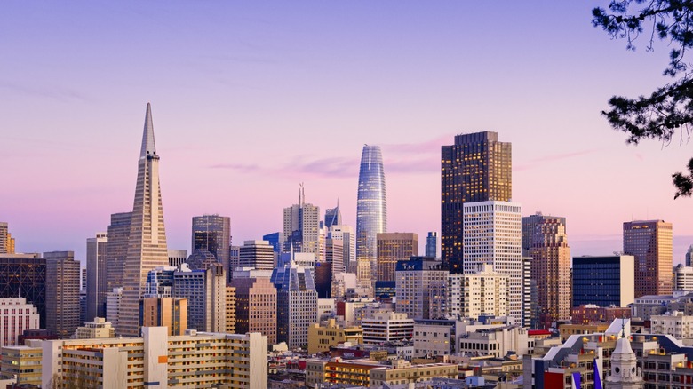 A lovely view of the San Fransisco skyline at dusk