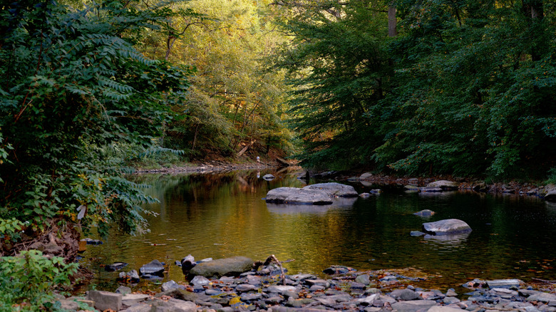 A creek in cumberland valley, PA