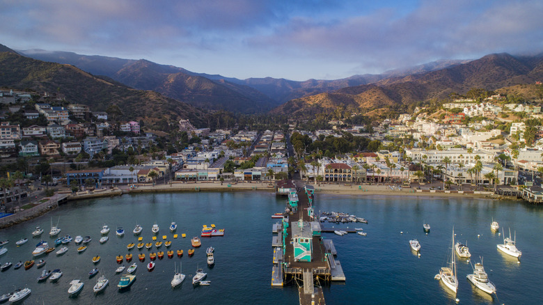 Avalon, California aerial view with boats in harbor