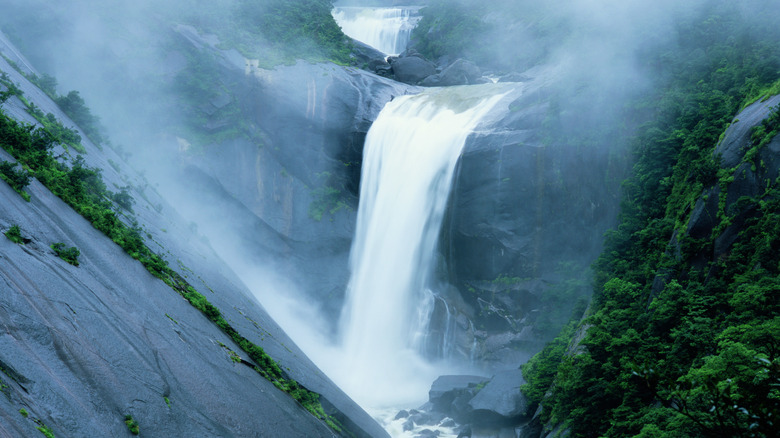 Waterfall in Yakushima Island, Japan