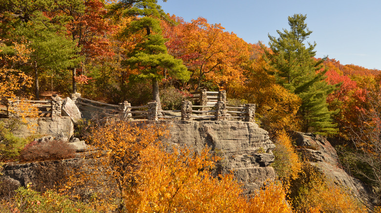 Overlook ledge viewpoint fall foliage