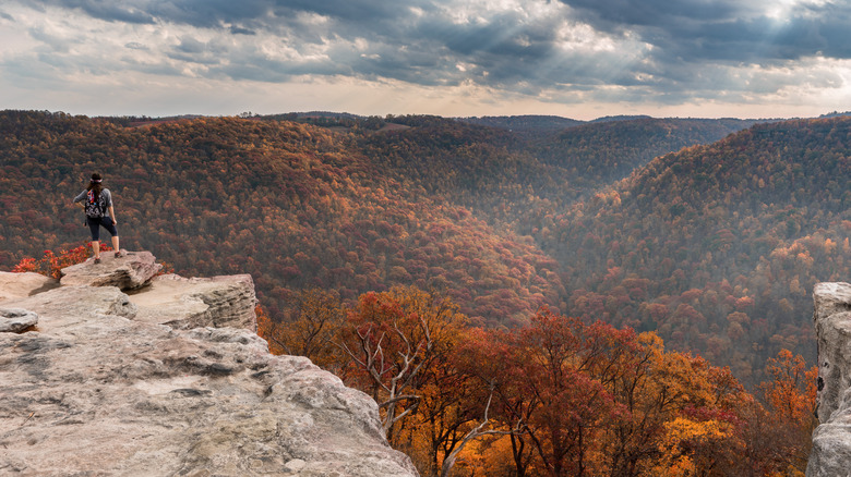 Fall forest rock woman viewpoint