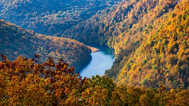 Fall foliage in Cheat Canyon