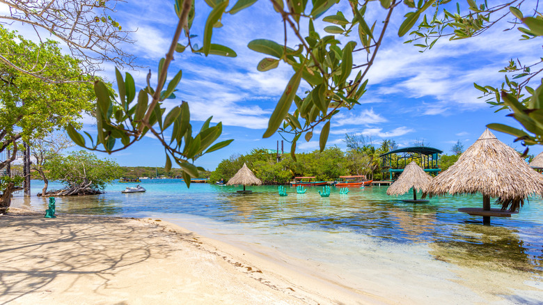 Beach with mangrove trees and palm roof palapas in the sea