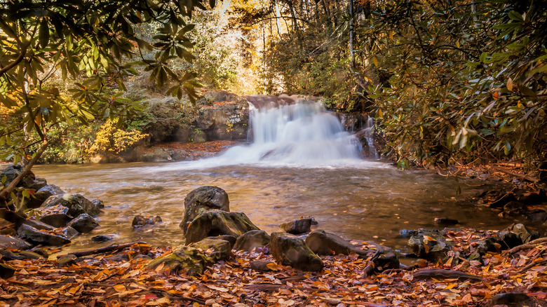 Hemlock Falls near Moccasin Creek State Park, Georgia