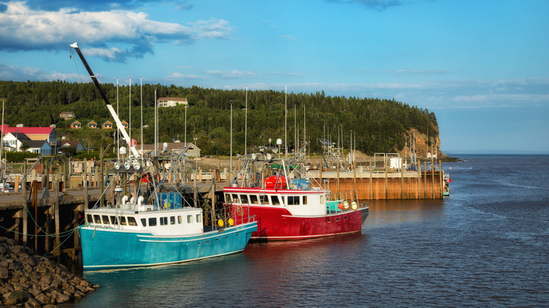 Fishing Boats in Brunswick