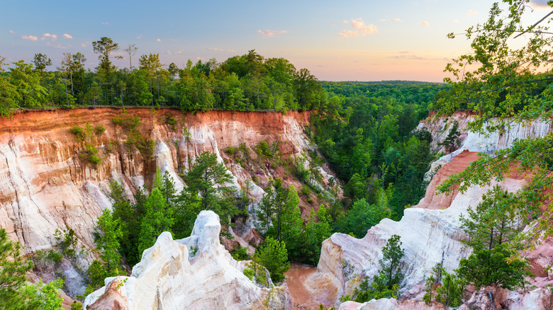 Georgia canyon with green trees