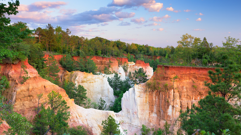 Georgia canyon with green forest