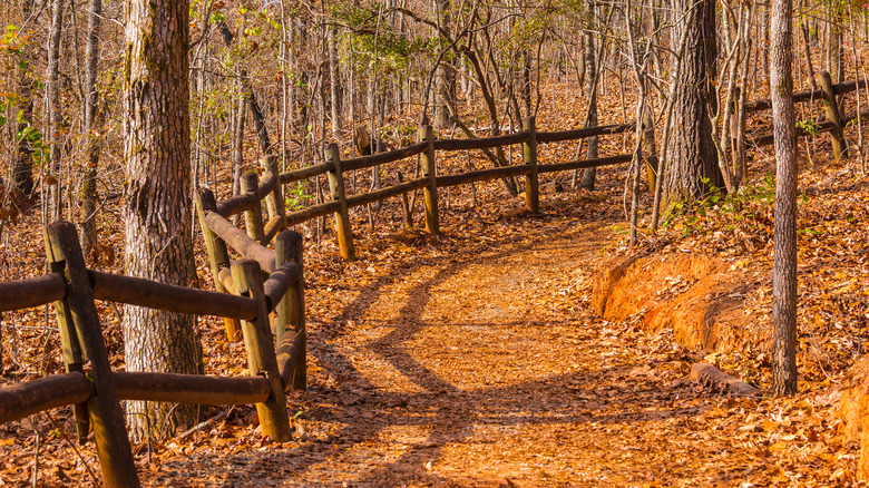 fenced hiking trail with fall leaves