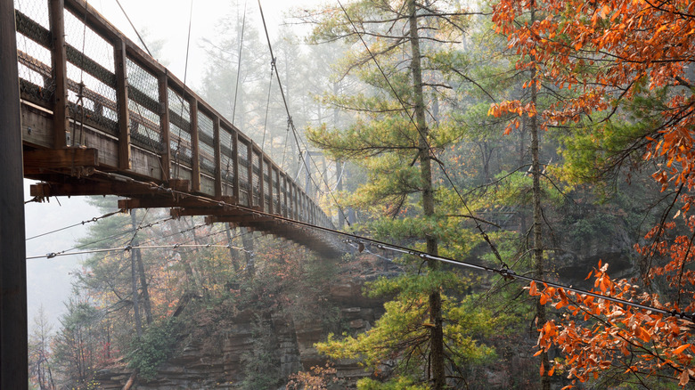 Suspension bridge at Tallulah Gorge State Park