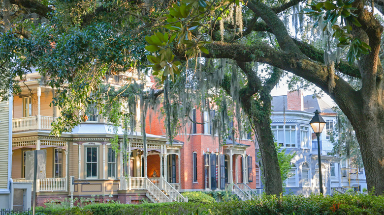 Houses and trees in Savannah