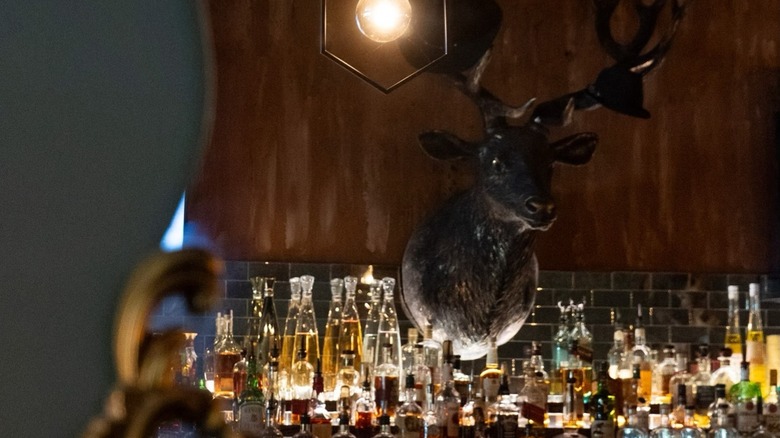 Inside the Stag Chophouse in Gainesville