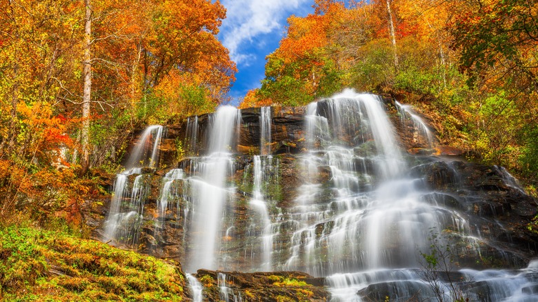 Amicalola Falls in Autumn