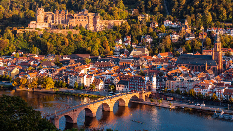 View from the Philosopher's Walk in Heidelberg, Germany