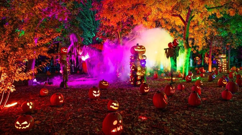 Magic of the Jack O' Lanterns event